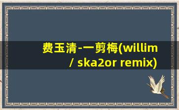 费玉清-一剪梅(willim / ska2or remix)